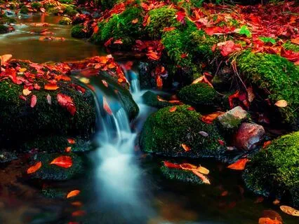 Awakening – Connect With Universal Flow - 777 Hz