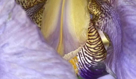 Awakening Creative Capacity