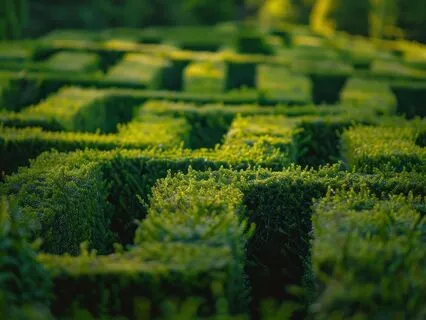 Awakening Creativity: A Journey With The Ego - Full Version