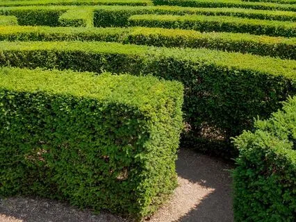 Awakening Creativity: A Journey With The Ego - Short Version