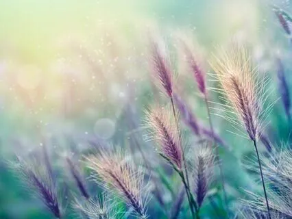 Awakening Creativity