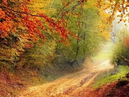 Awakening Embrace : Focus Meditation