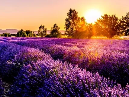 Awakening - Full Meditation