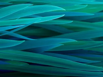 Awakening - Green Chakra For The Heart - Key Of F