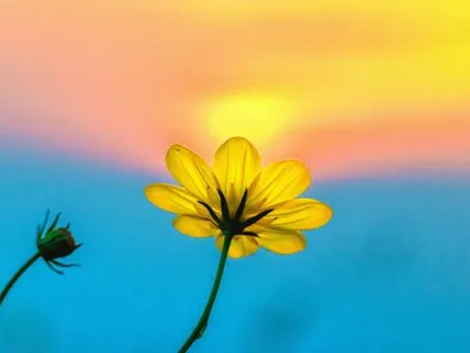 Awakening Happens When We Stop Focusing On Good And Bad