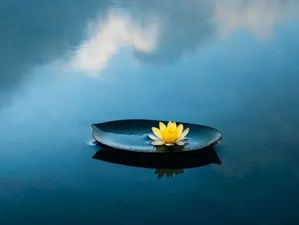 Awakening Intuition And Activate Your Third Eye