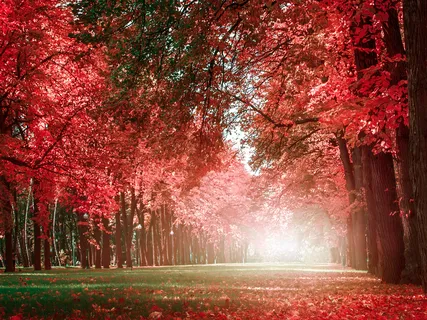 Awakening Intuition Meditation