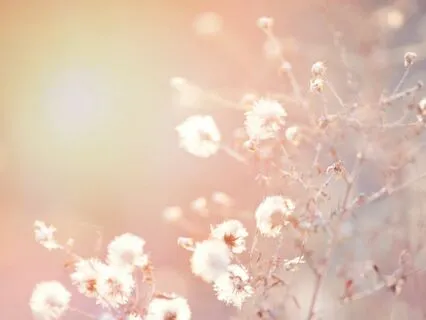 Awakening Light: A Morning Meditation