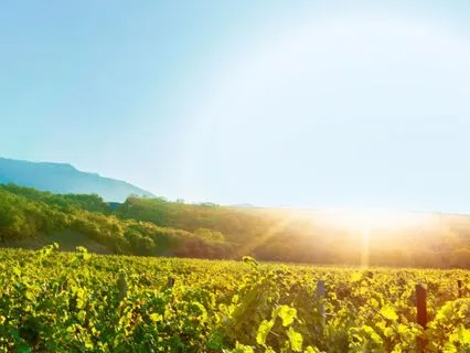 Playful Morning: Awaken With Joy | 2-Min