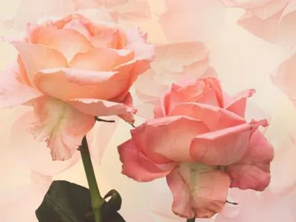 Awakening Love · Vocals & RAV Drum · 6-Min Sound Meditation