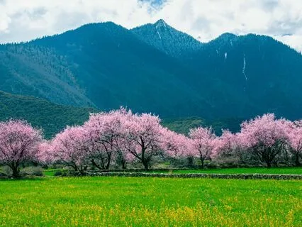 Awakening Mindful Balance - Meditation 70