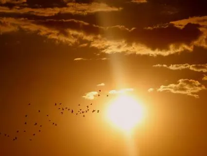 Soul Awakening: Uplifting Ambient Renewal