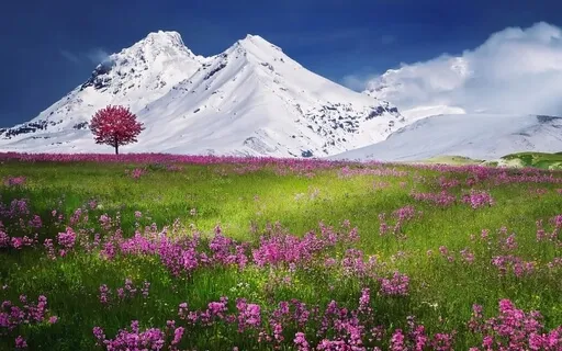 Awakening - Music For Meditation