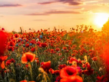 Awakening: Music For Spiritual Growth & Clarity 1111 Hz