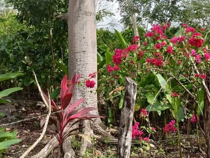 Awakening of the Soul: Om Mitraya Namaha by Gabriela Glaus