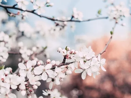 Awakening Possibilities