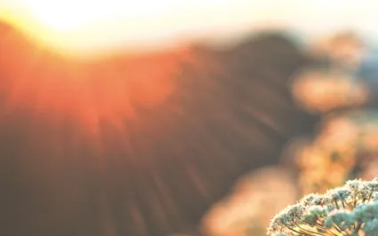 Awakening Possibility Through Embodied Movement 