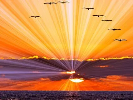 Awakening Self-Energy As You Drift To Sleep