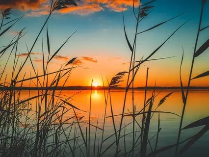 Awakening Self-Love: A Powerful Morning Ritual