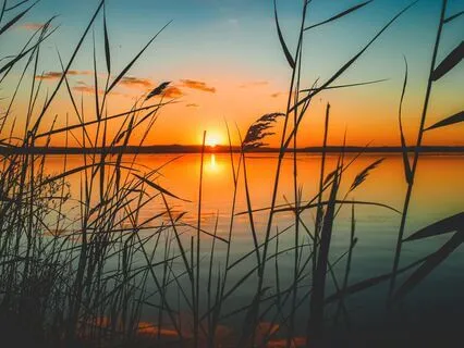 Awakening Self-Love - Morning Affirmations