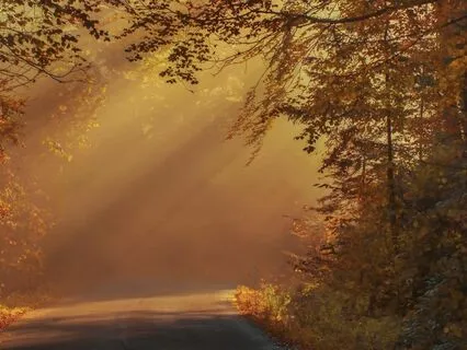 Awakening Stress Relief Gentle Relaxation Melody For Healing