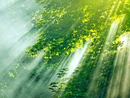 Awakening The Brain To The New Earth Frequencies