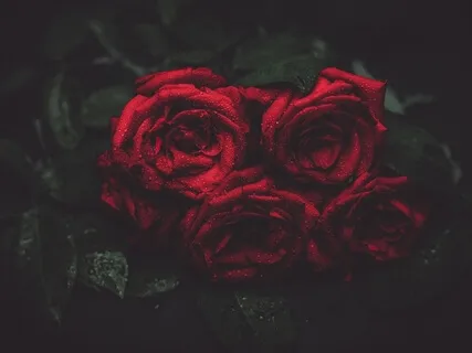 Awakening The Broken Heart