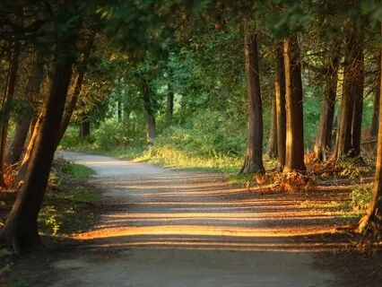 Awakening The Chakras