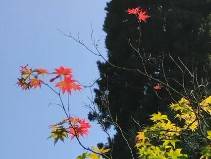 Awakening The Creative Spirit In You