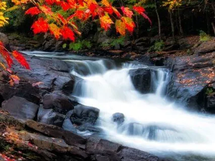 Awakening The Flow Within — 417Hz Sacral Chakra Healing