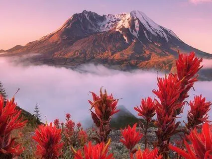 Awakening The Heart In 5 Minutes