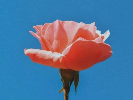 Awakening The Heart Space