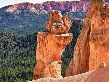 Awakening The Leader Within