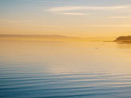 Awakening The Love Within My Cells