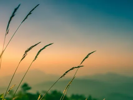 Awakening The Senses: A Journey Into Mindful Awareness