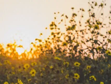 Awakening To Possibility