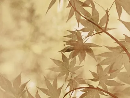 Awakening To Spaciousness: Six Minute Meditation