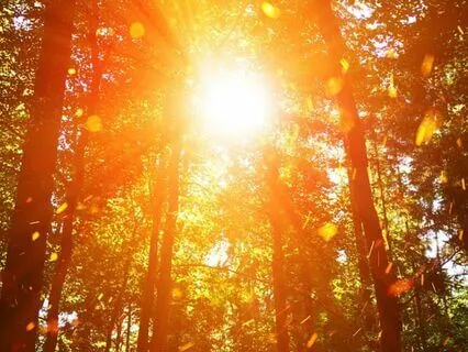 Awakening To Your Self : Time-Friendly Affirmations