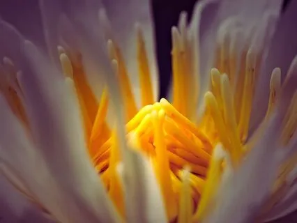 Awakening With Gentle Intention