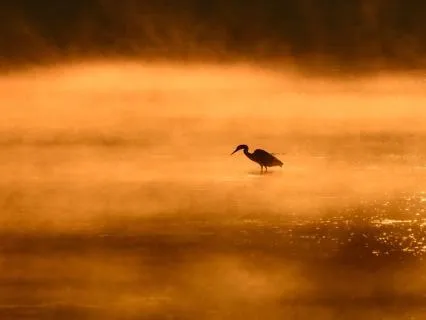 Awakening With The Sun | Beautiful Morning Music