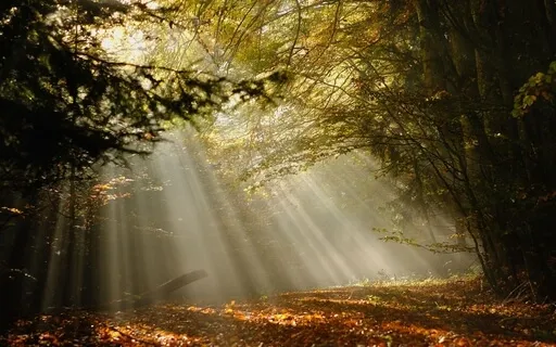 Awakening Your Awareness And Your Heart - Meditation 34