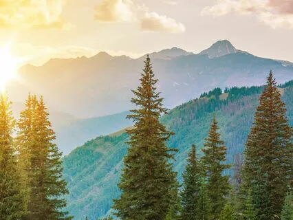 Awakening Your Courageous Heart ~ A movement practice