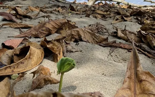 Awakening Your Full Potential Visualization