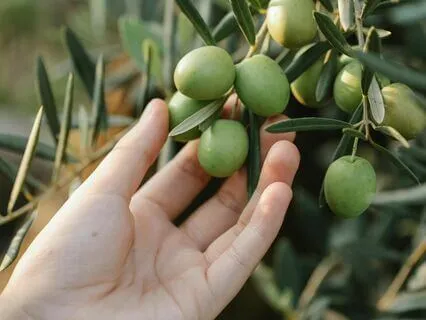 Infinite Abundance,  528 Hz Binaural Theta For Manifestation