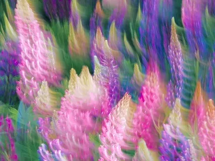 Awakening Your Heart Connection