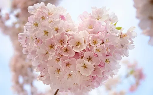 Awakening Your Infinite Potential For Manifestation