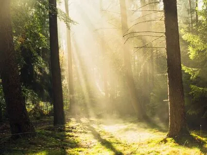 Awakening Your Inner Light: A Guided Morning Meditation