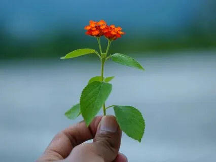 Awaken Your Inner Power