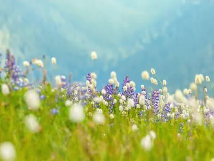 Awakening Your Inner Vision | Full-Body Awareness Meditation