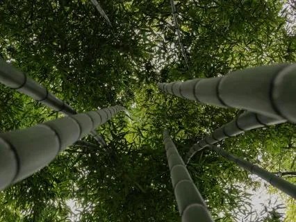 Awakening Your Intuition